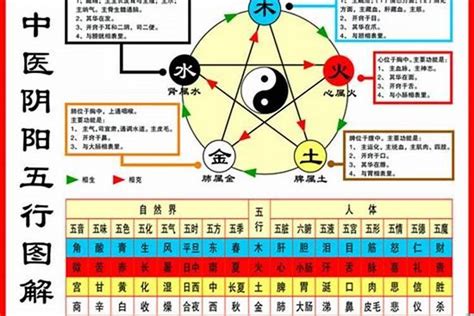 84属什么|1984年属鼠是什么命，84年出生五行属什么